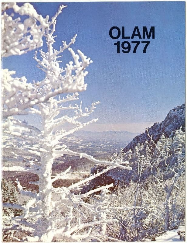 Olam
